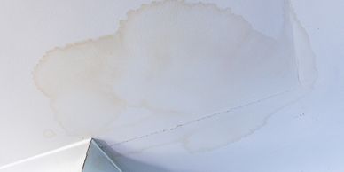 Homeowner looking at their energy bill.