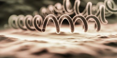 UV light installation in HVAC system for cleaner coil surfaces