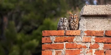 Front Range Chimney Cap Installation 4 Cap Nesting